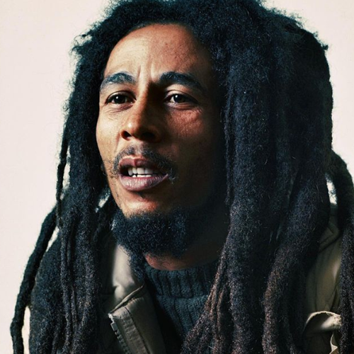 cabelo rastafari masculino