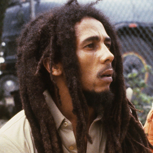cabelo rastafari masculino