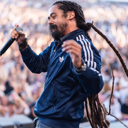 cabelo rastafari masculino