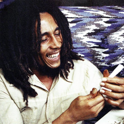 cabelo rastafari masculino