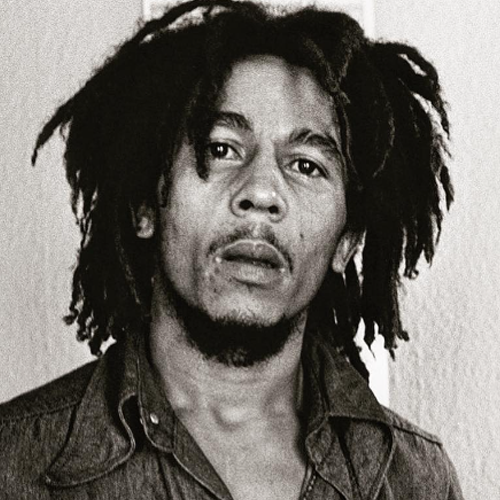 cabelo rastafari masculino